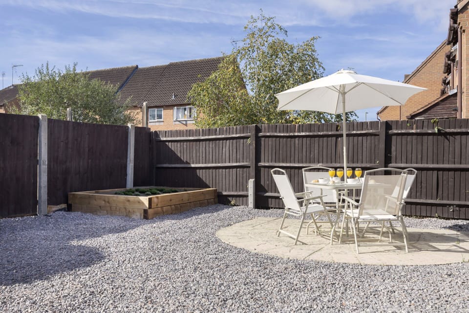 Back garden

