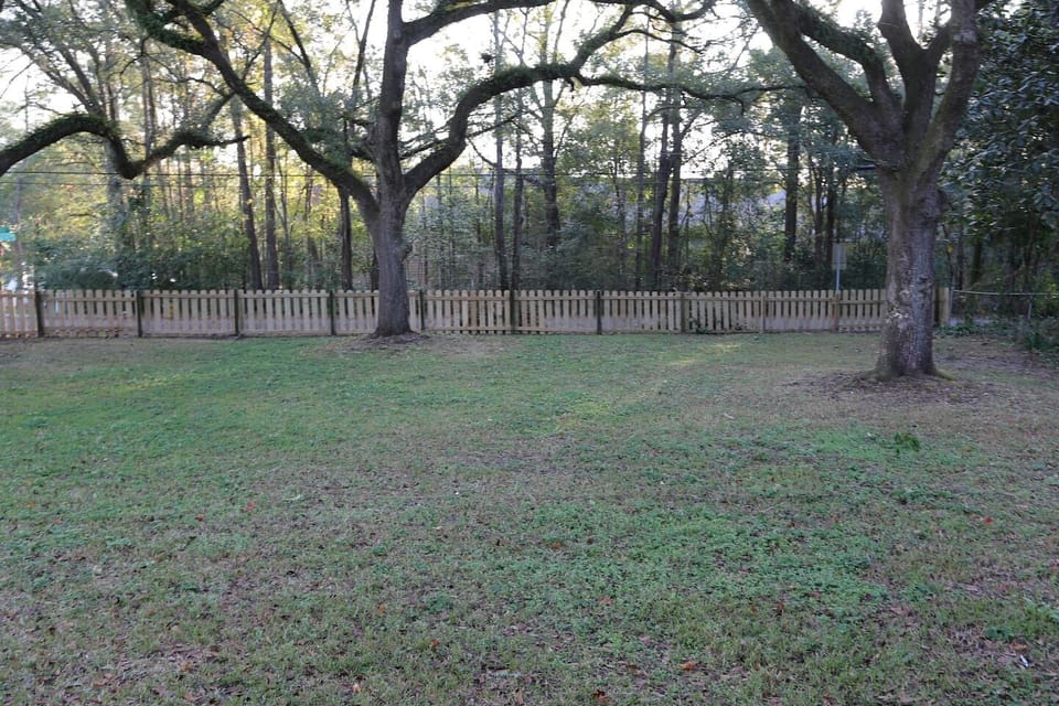 Front Yard