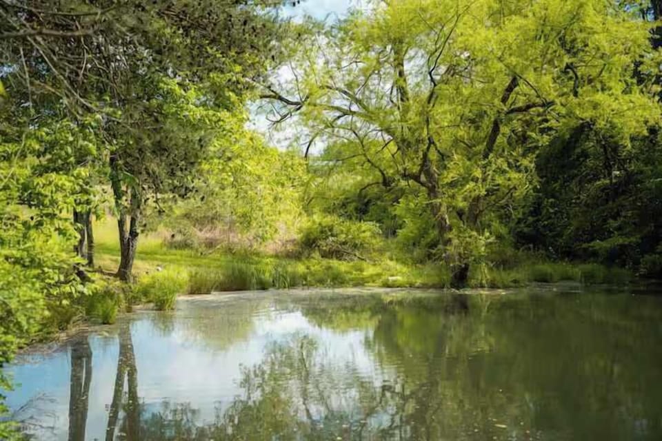 Tranquil Retreat: Enjoy serene views of lush greenery and a peaceful pond right outside your door!