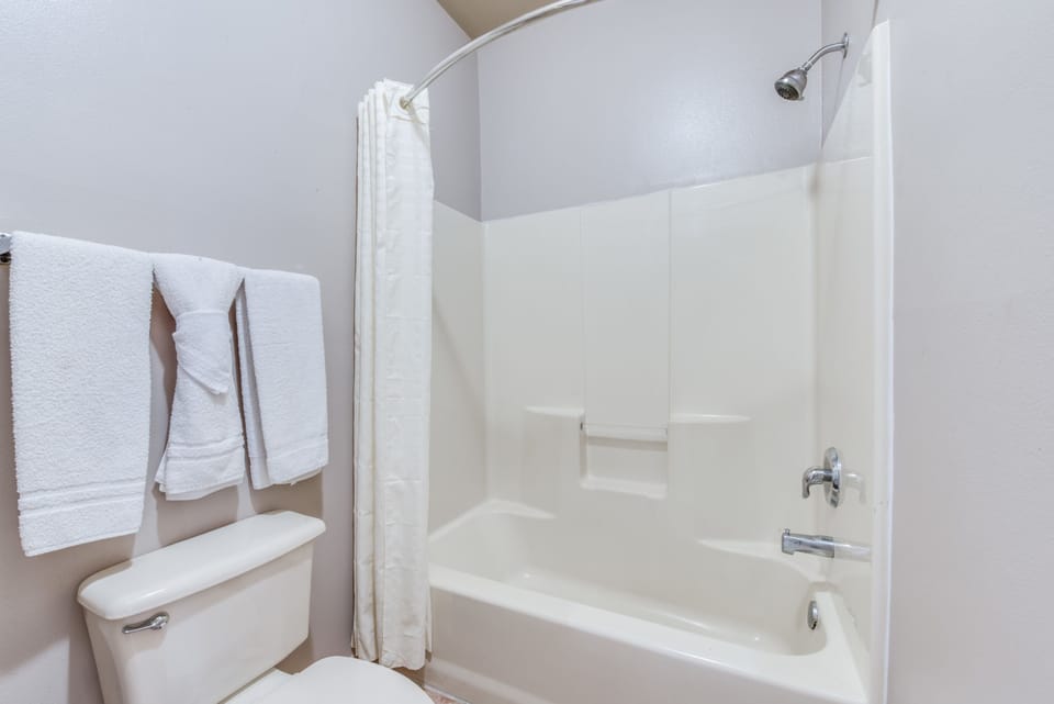 Combined shower/tub, free toiletries, hair dryer, towels