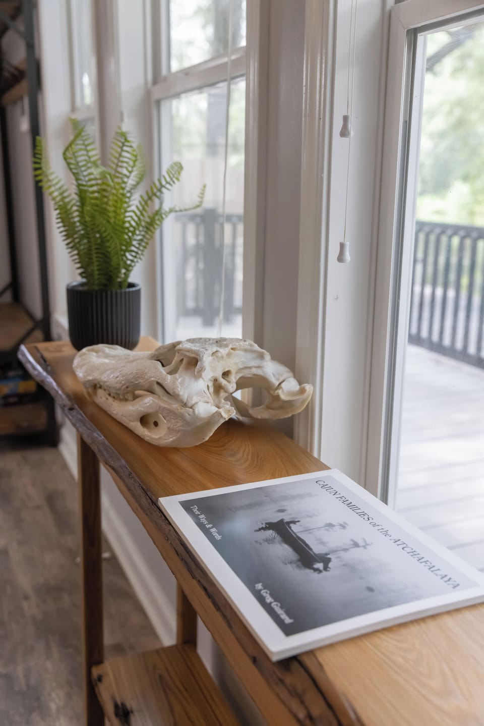Bright window nook with curated decor and peaceful natural light