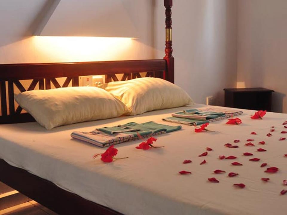 Standard Double Room, Ocean View | 1 bedroom, minibar, desk, rollaway beds (free)