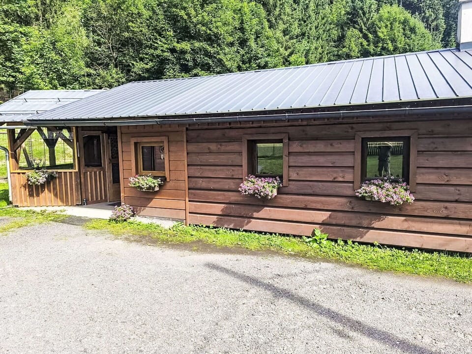 Wood, Roof, Cottage, House, Home, Siding, Rural Area, Door, Shed, Garden Buildings