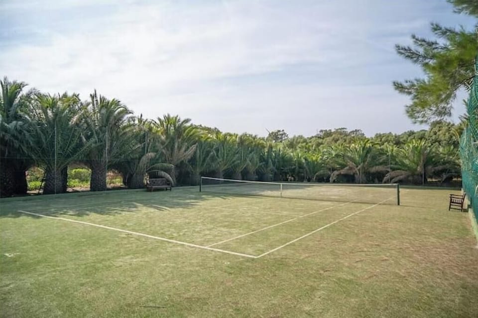 Sport court