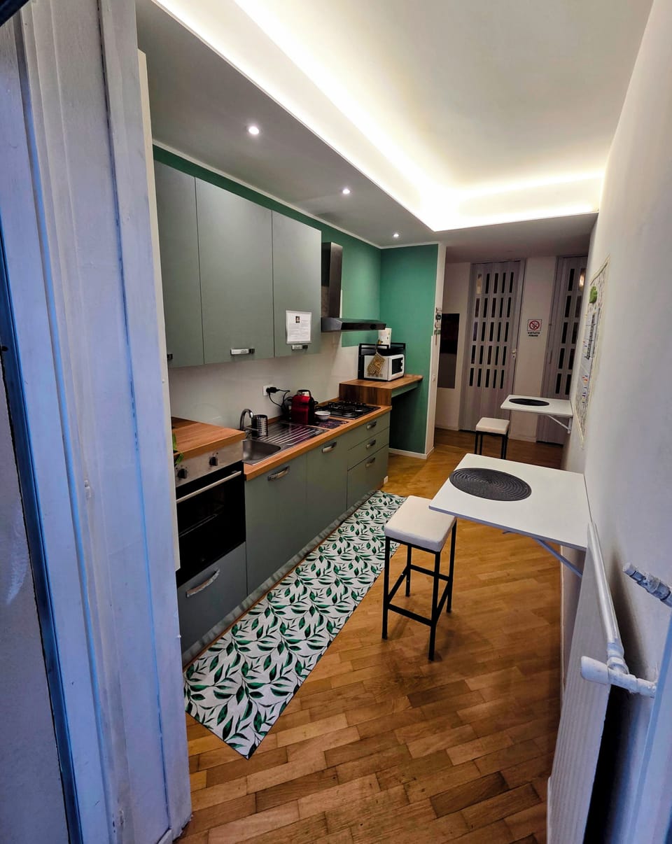 Deluxe Double Room, Private Bathroom, Park View | Shared kitchen | Fridge, microwave, oven, stovetop