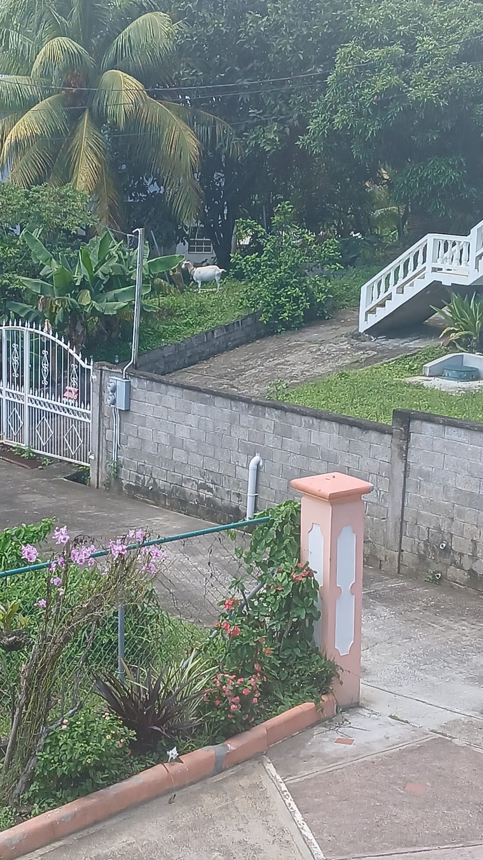 Property grounds