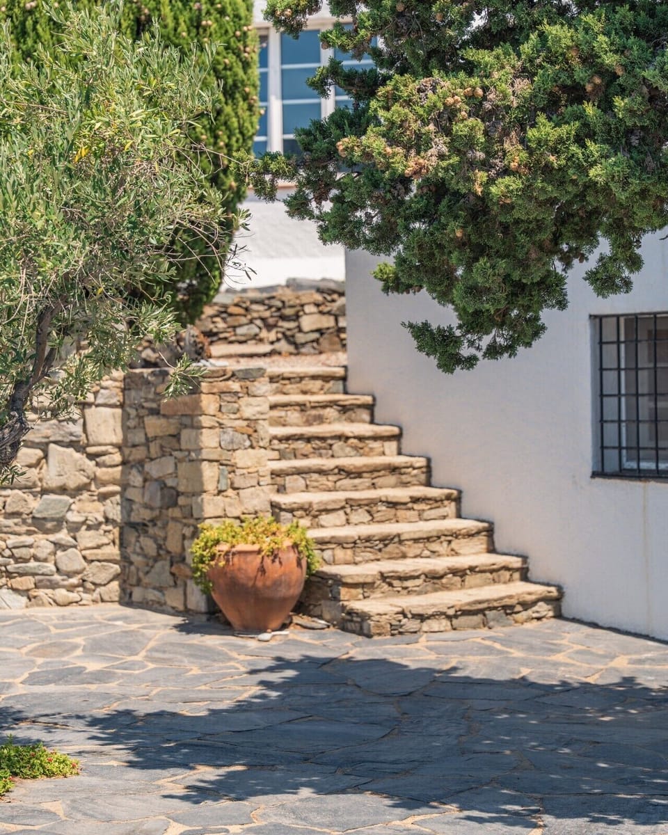 Stone steps between olive trees