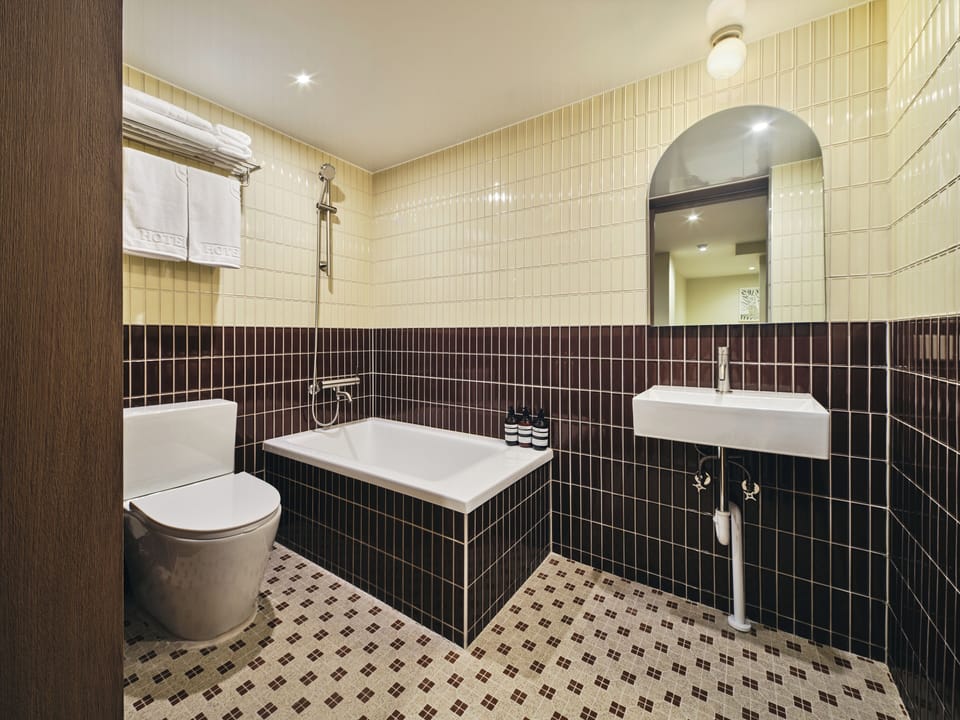 Combined shower/tub, hair dryer, towels, shampoo