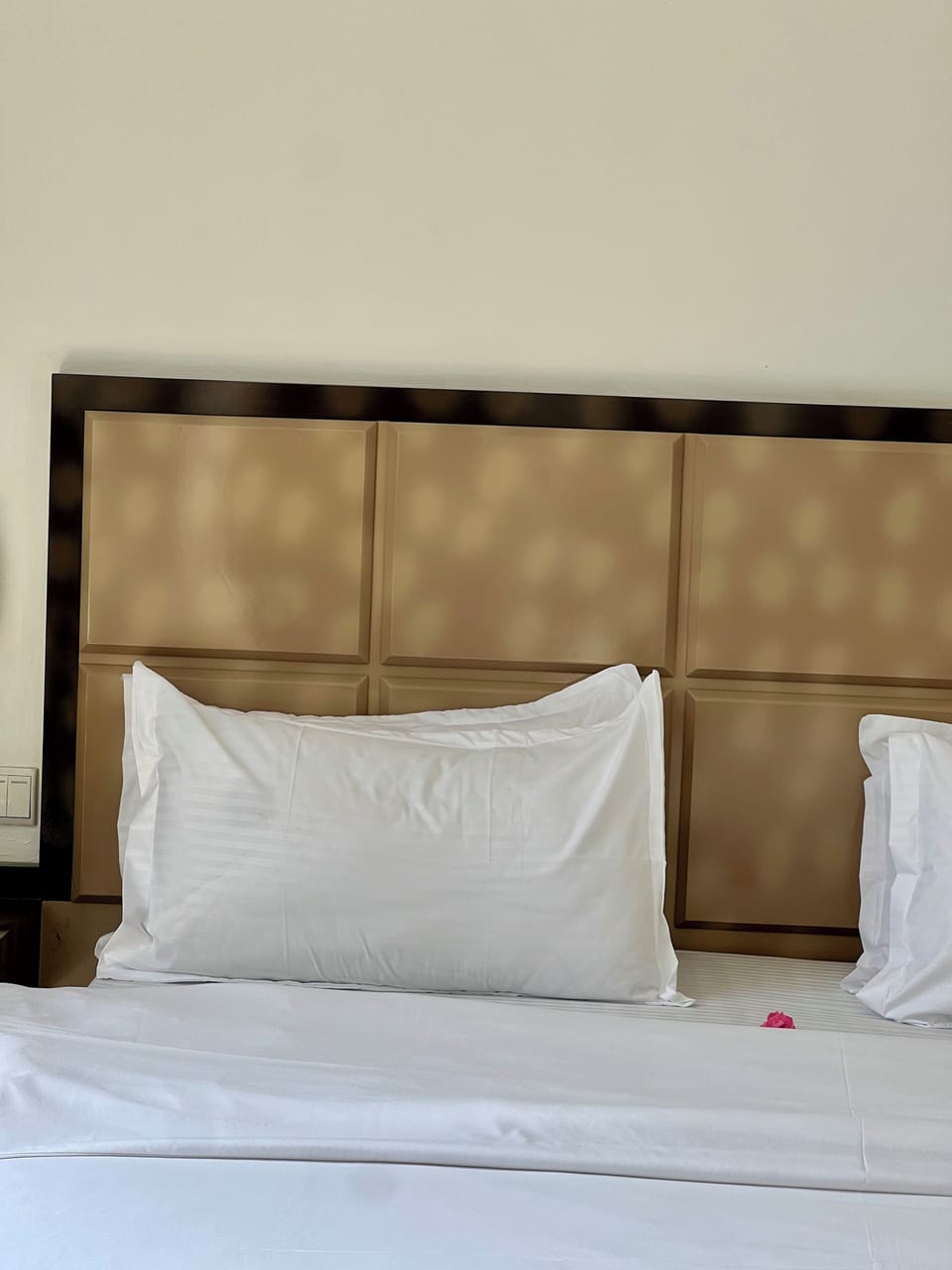 Executive Suite, Balcony, City View | Desk, WiFi (free)