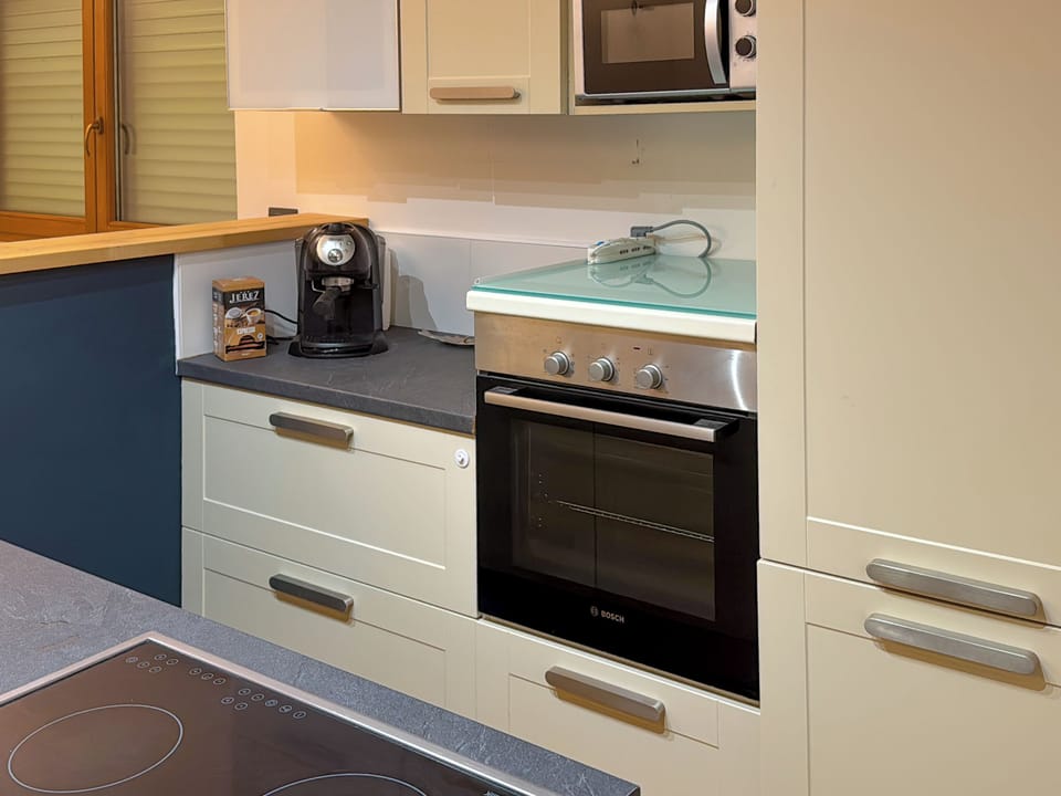 Apartment, Balcony, City View | Private kitchen