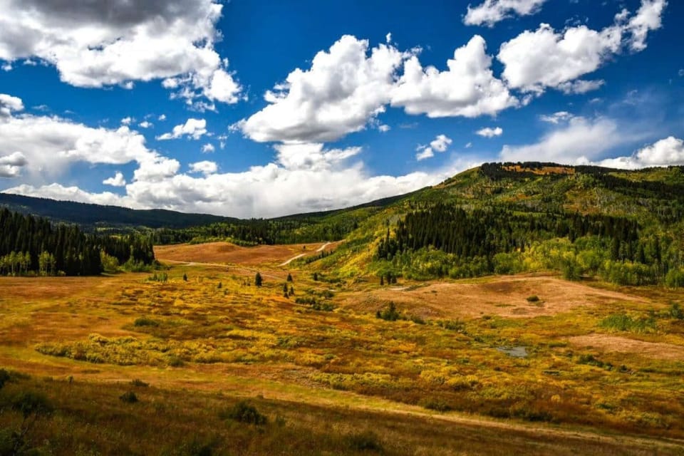 Four Mile Road offers a scenic drive through rolling hills and pastures, showcasing natural beauty. The upper stretch provides great spots for dispersed camping, all without leaving your car.