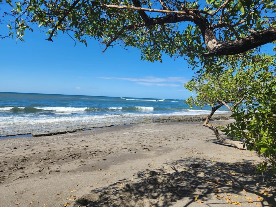 Lagarto beach