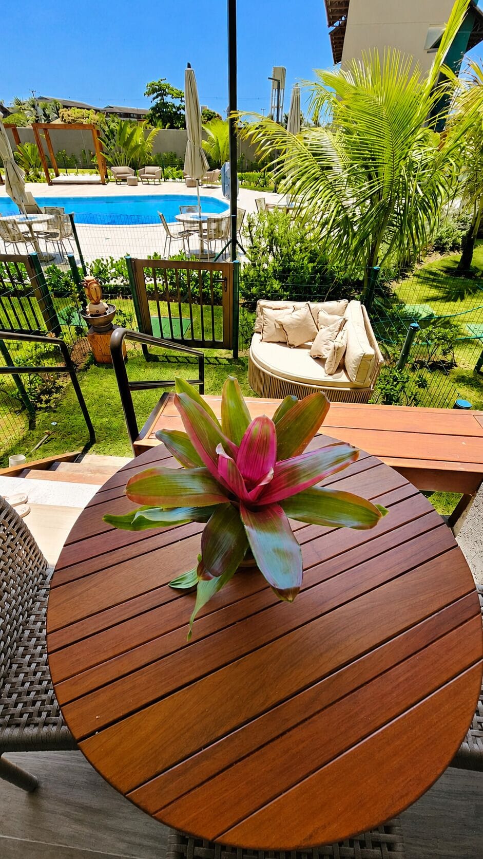 Deluxe Studio, Pool View | View from room