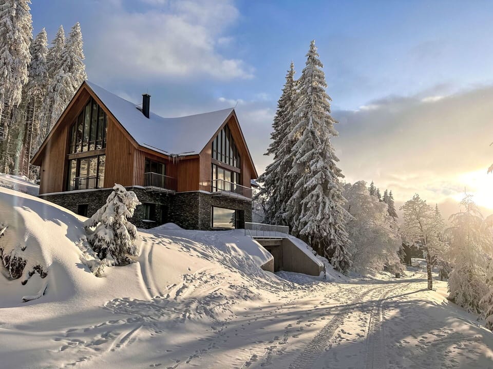 Tree, House, Home, Cottage, Winter, Roof, Snow, Freezing, Larch, Slope