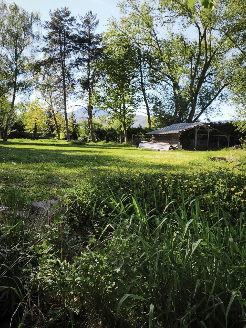 Property grounds