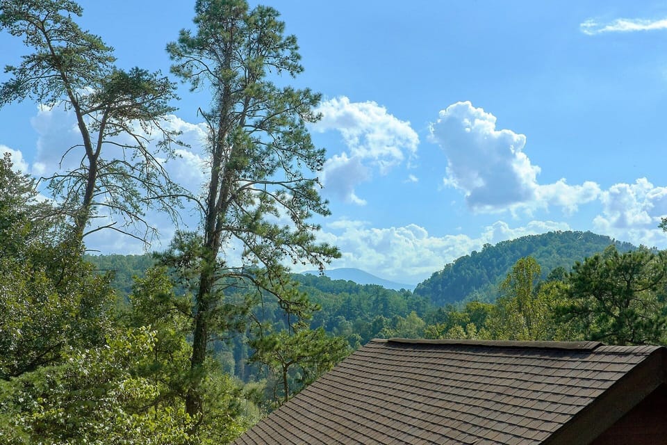 Rustic 2 Bedroom Cabin Sleeps 8 with a View