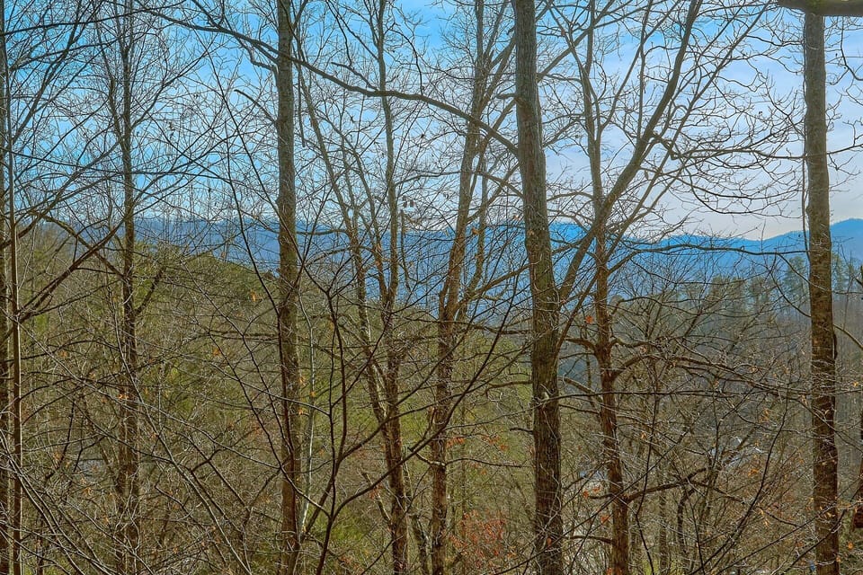 Smoky Mountain 4 Bedroom Cabin with Wooded View
