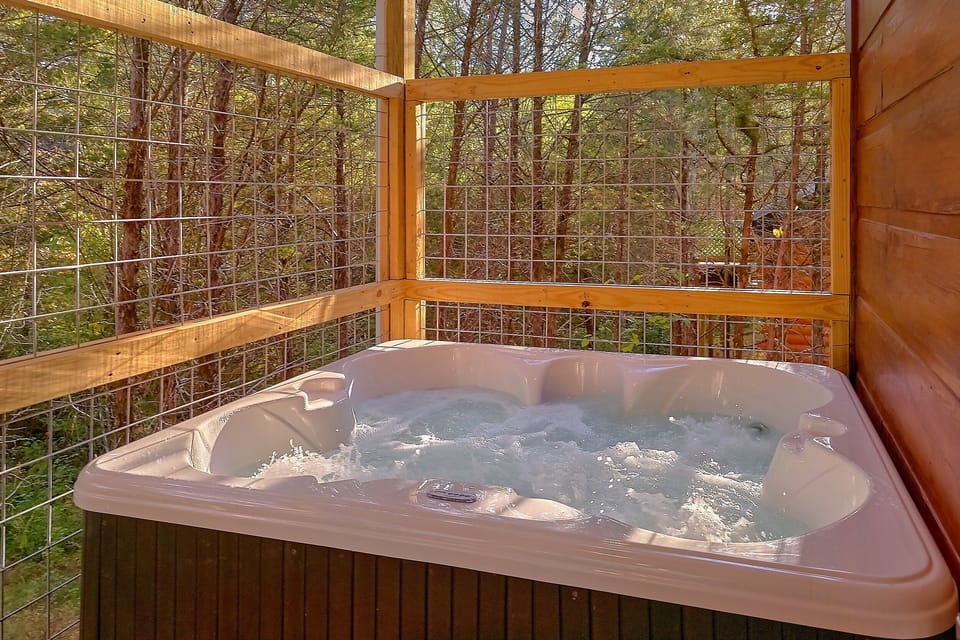 2 Bedroom Cabin by Douglas Lake with Hot Tub