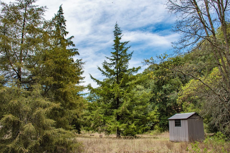 Family Cabin, Patio, Garden View | Miscellaneous