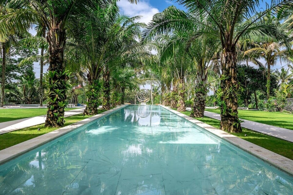 Tropical Paradise: Dive into serenity with a stunning pool framed by lush palms and vibrant nature!