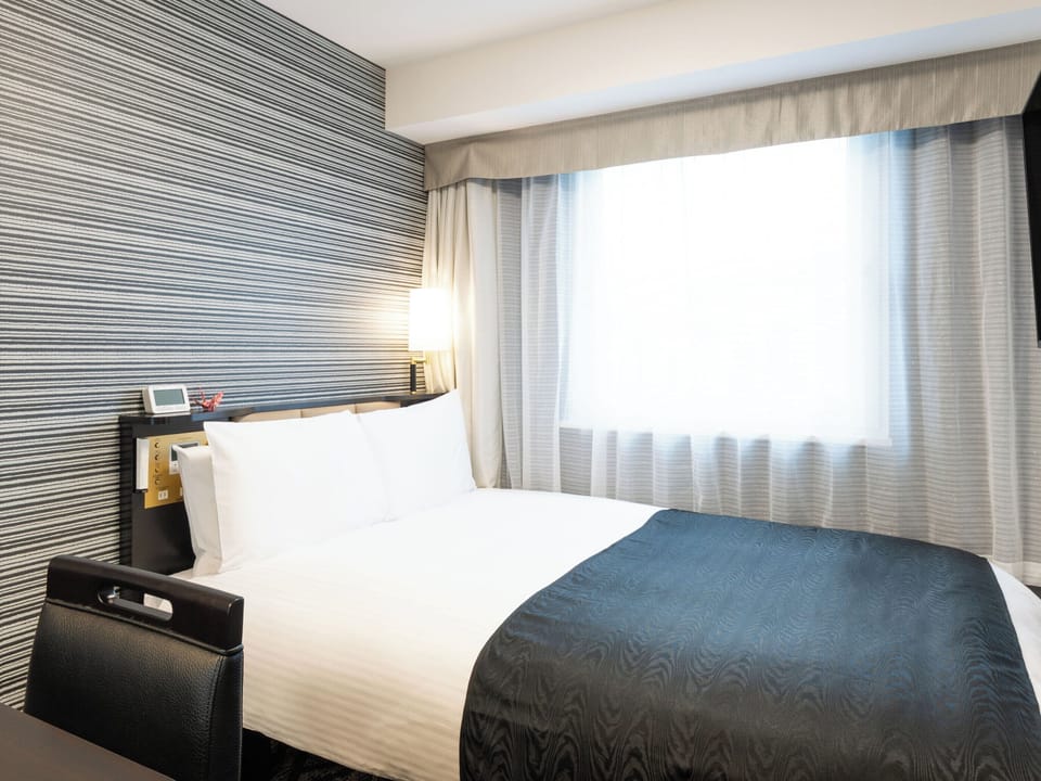 Standard Room, Non Smoking (2 People) | Down comforters, desk, blackout drapes, WiFi (free)