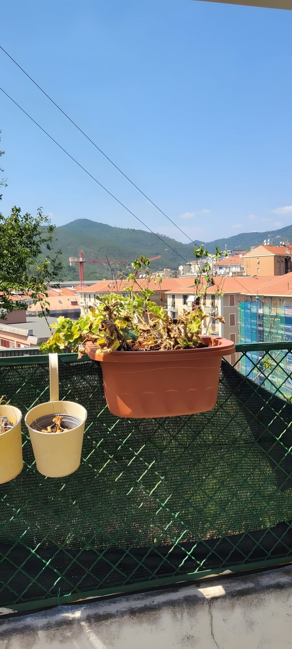 View from property