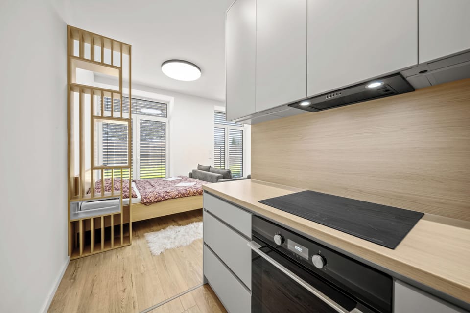 Bright modern studio with sleek kitchenette and cozy sleeping nook