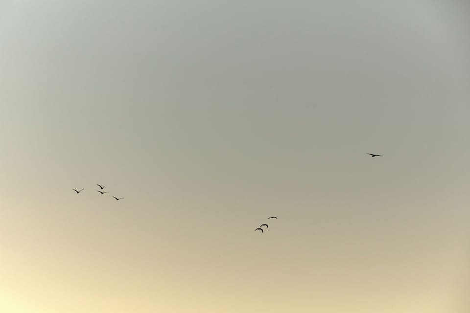 Miscellaneous