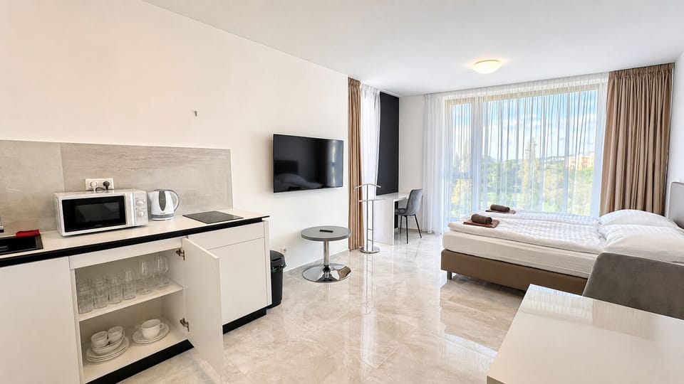 Bright modern studio with kitchenette, large windows, and stylish comfort