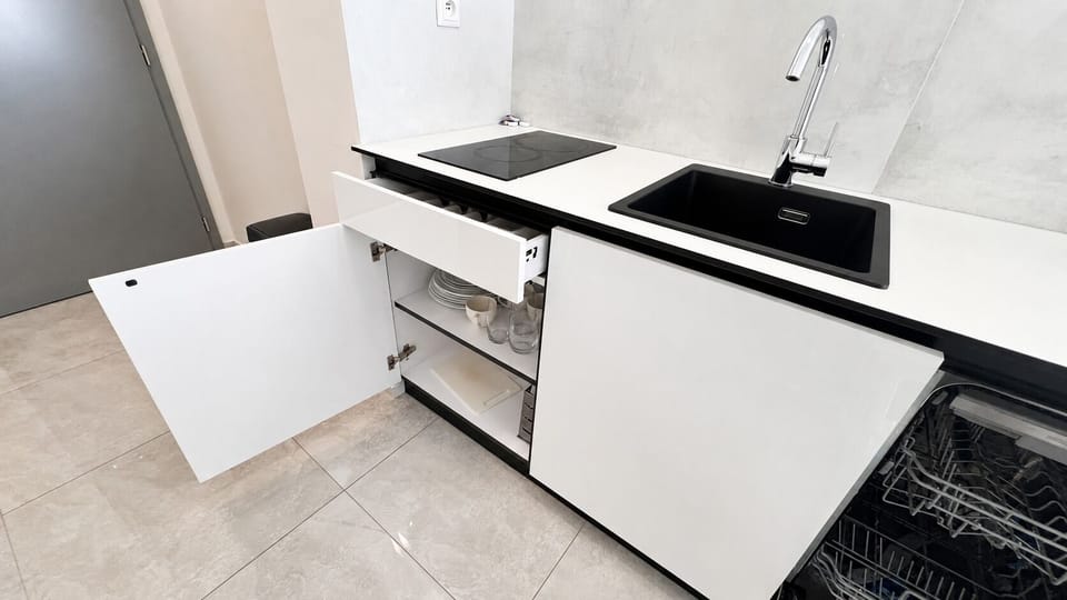 Modern kitchenette with cooktop, dishwasher, and organized storage