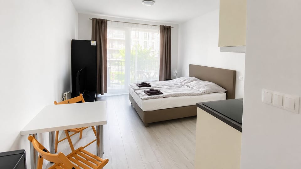 Bright modern studio with double bed, kitchenette, and natural light