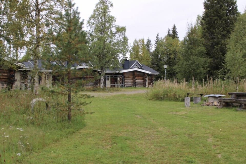 Grassy yard and forest surroundings outside the log building in summer.