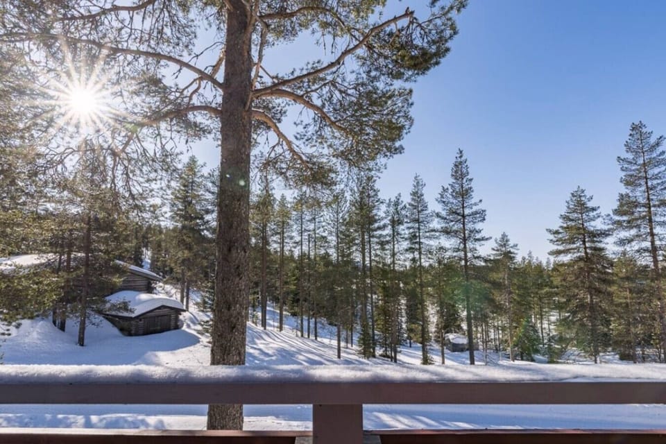 View from the balcony over the sunlit, snow-covered pine forest.