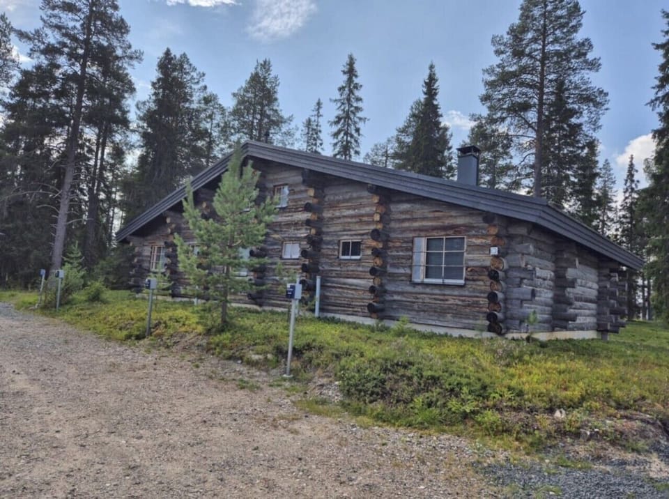 Exterior of the log building surrounded by pine forest, with a gravel driveway alongside.