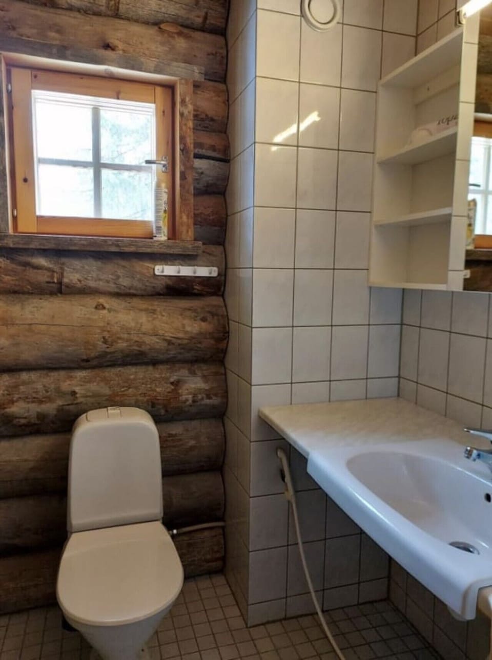 Separate WC with a toilet and a washbasin.