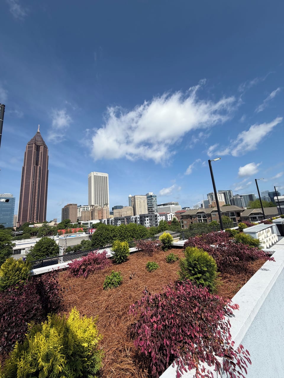 View from property