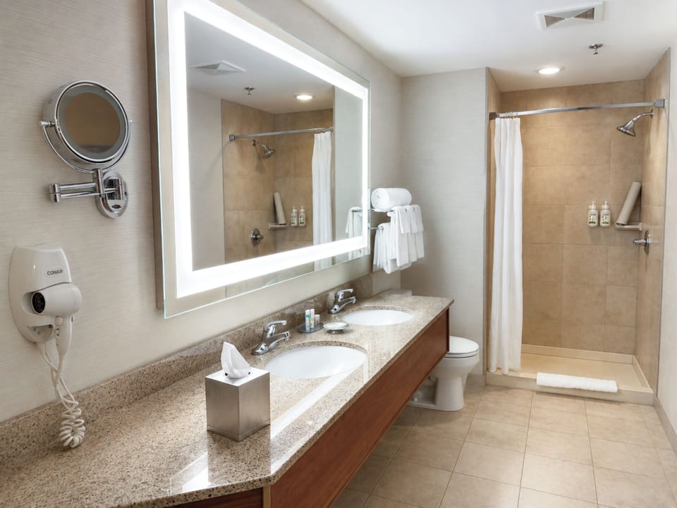 Business Suite, 1 King Bed with Sofa bed, Jetted Tub | Bathroom | Free toiletries, hair dryer, bathrobes, towels