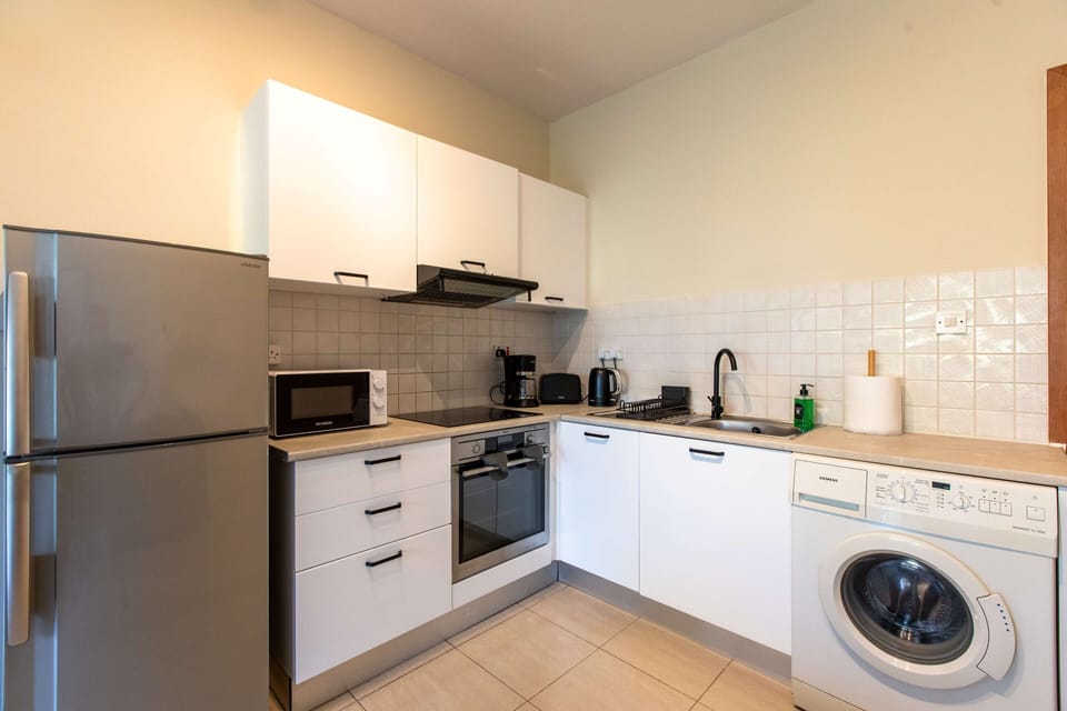 Apartment, 1 Double Bed with Sofa bed, Kitchen, City View | Private kitchen | Coffee/tea maker, full-size fridge, microwave, oven
