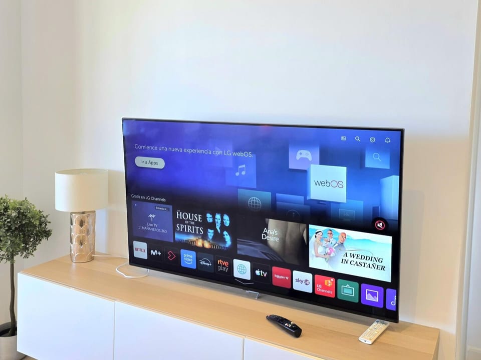 Television