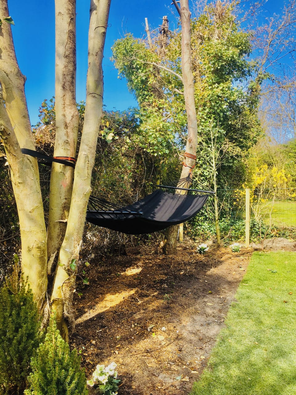 Chillen in de hangmat