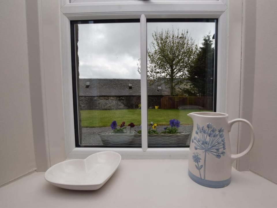 Looking out from inside 