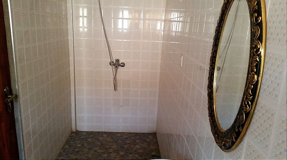 Standard Double Room | Bathroom | Free toiletries, towels