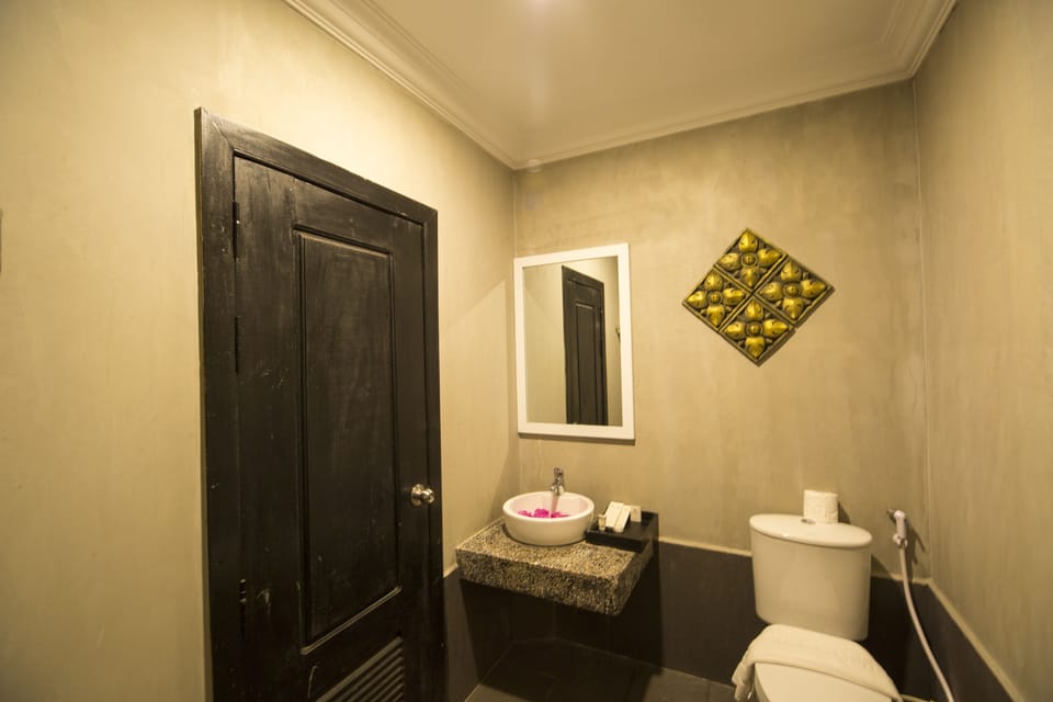 Combined shower/tub, free toiletries, hair dryer, bathrobes