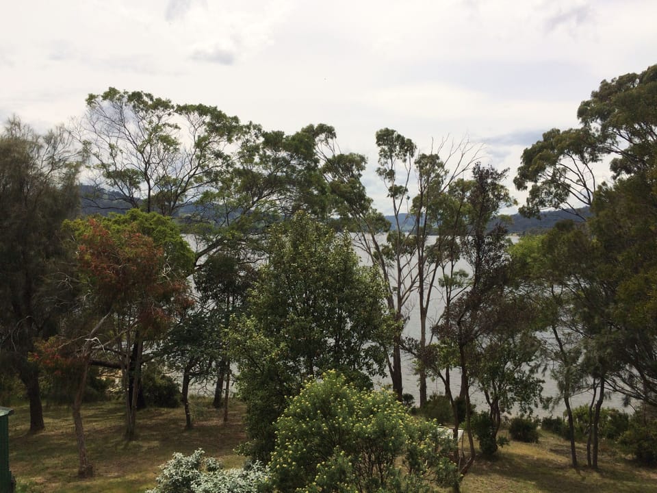 Huon Pine Room | View from room