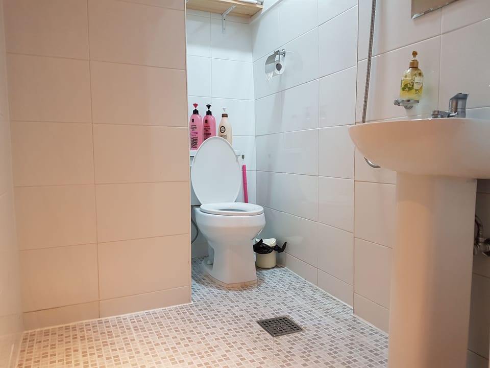 Shower, free toiletries, hair dryer, slippers