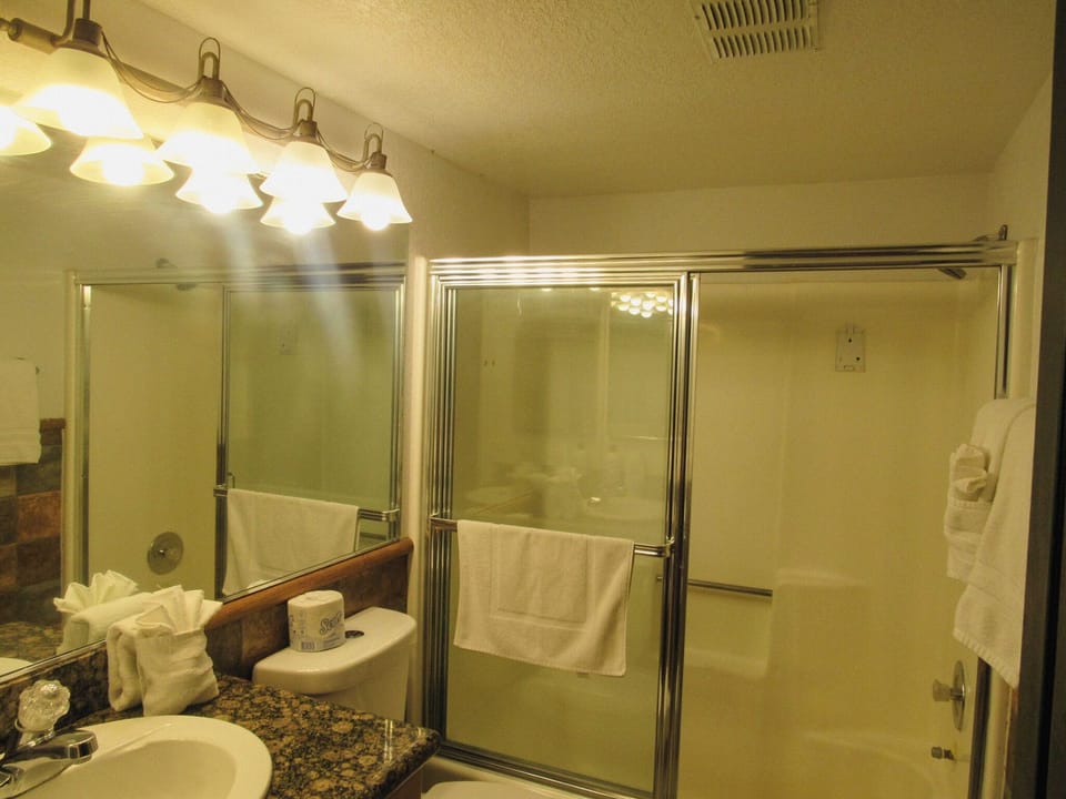 Deluxe Studio Suite, Lake View | Bathroom | Towels, toilet paper