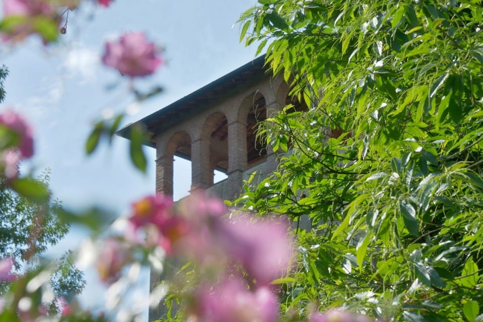 Green, Shrub, Spring, Garden, Plantation, Blossom