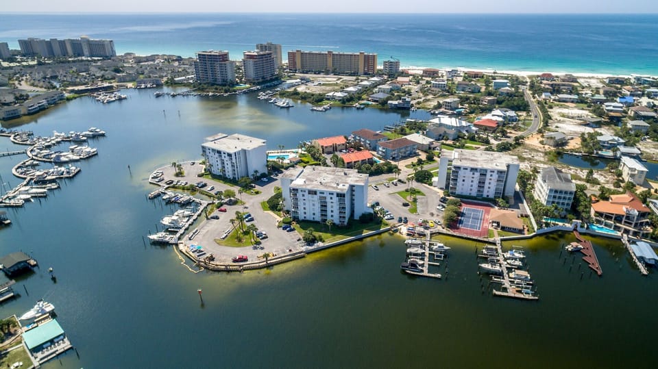 Dolphin Point-11