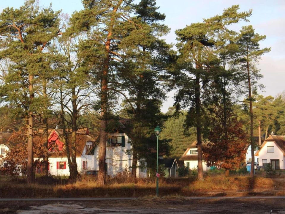 House | View from property