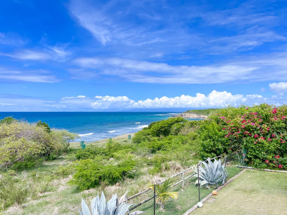Enjoy panoramic sea views from our magnificent garden with no neighbours. Relax in peace and luxury, with complete privacy. A unique experience in our luxury villa in the West Indies.